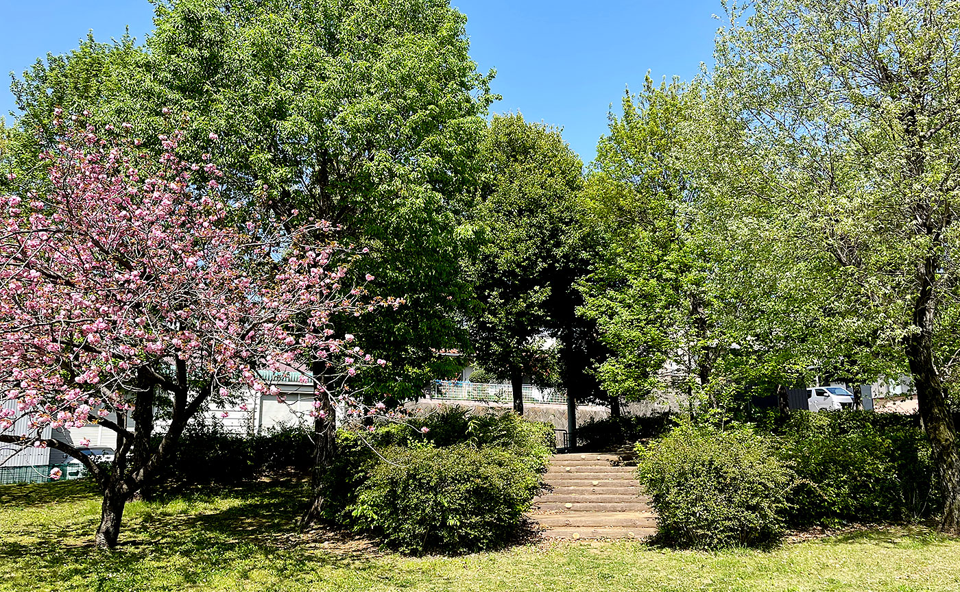 越野下根公園