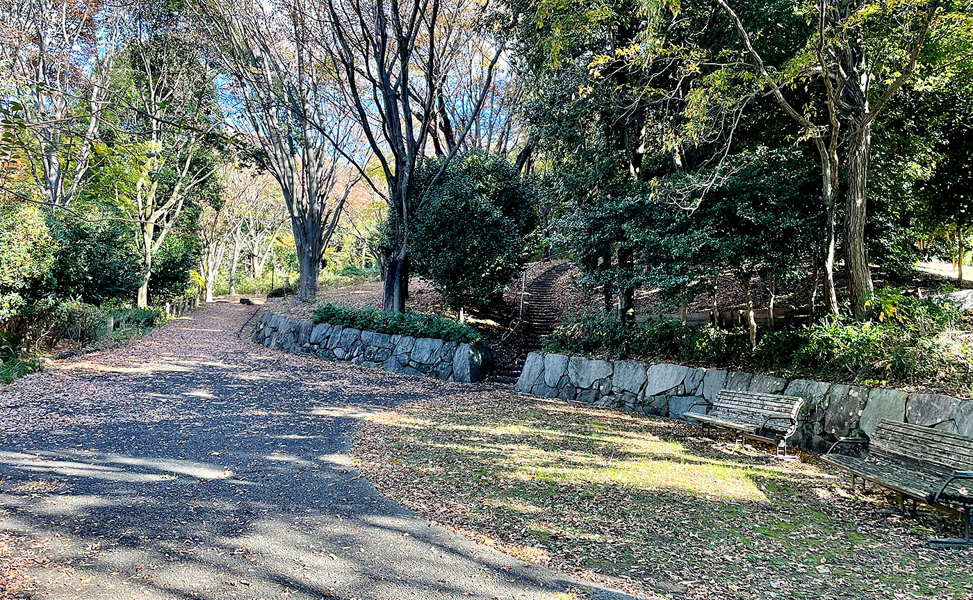 豊ヶ丘北公園