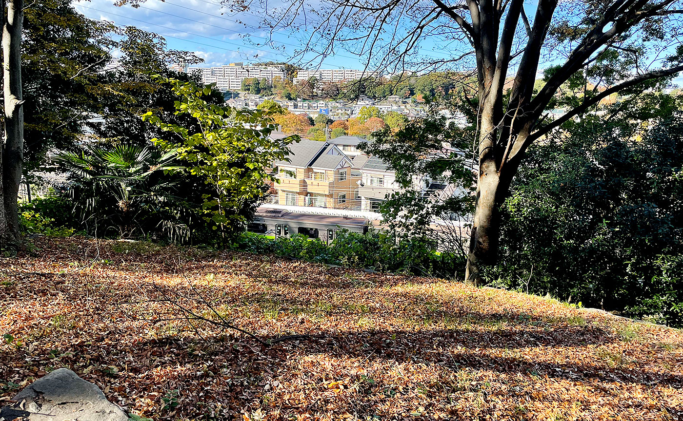 豊ヶ丘北公園