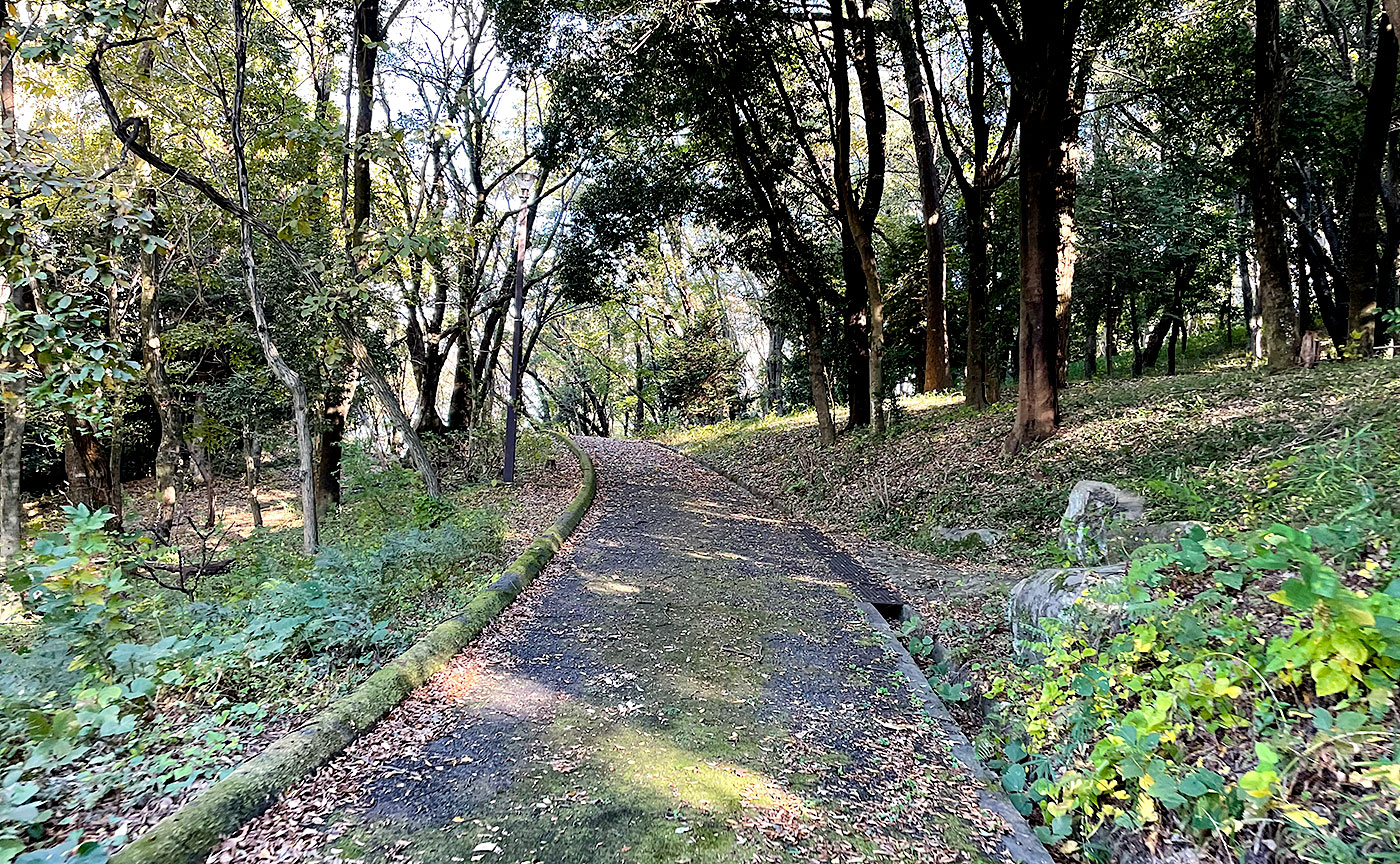 豊ヶ丘北公園