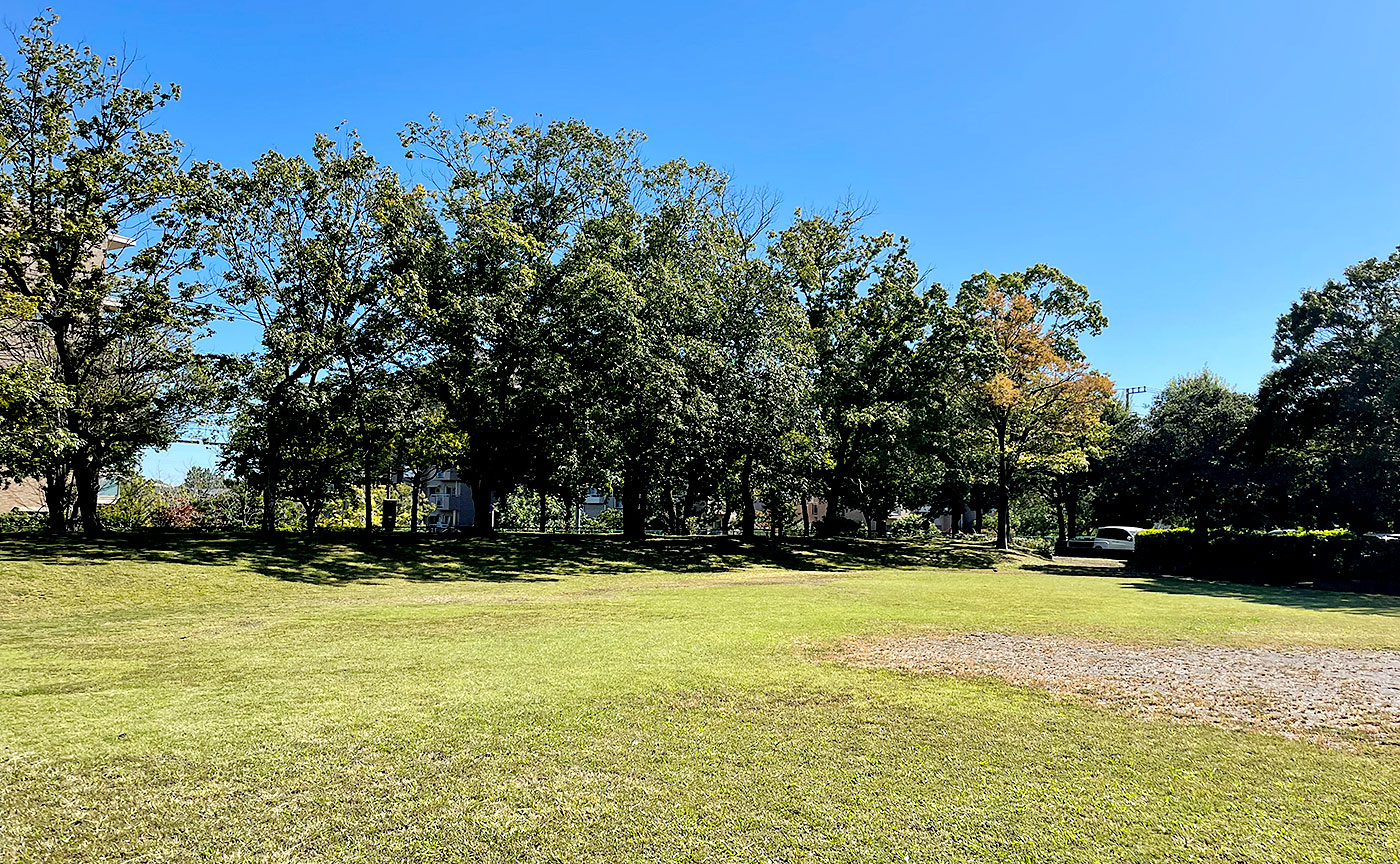 豊ヶ丘第八公園