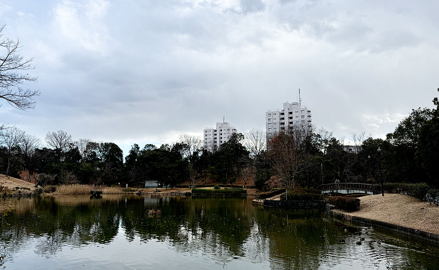 豊ヶ丘南公園