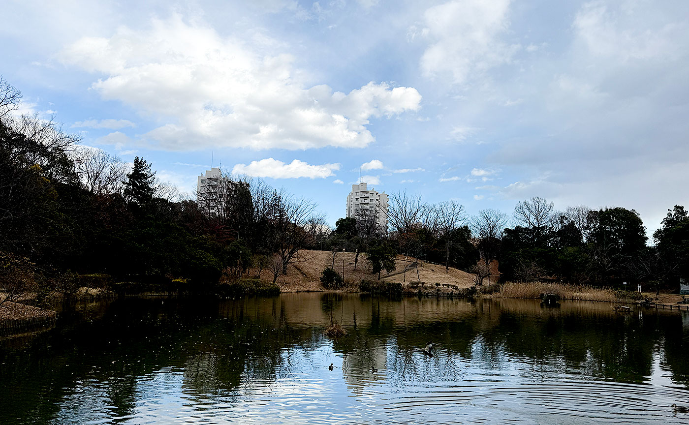 豊ヶ丘南公園