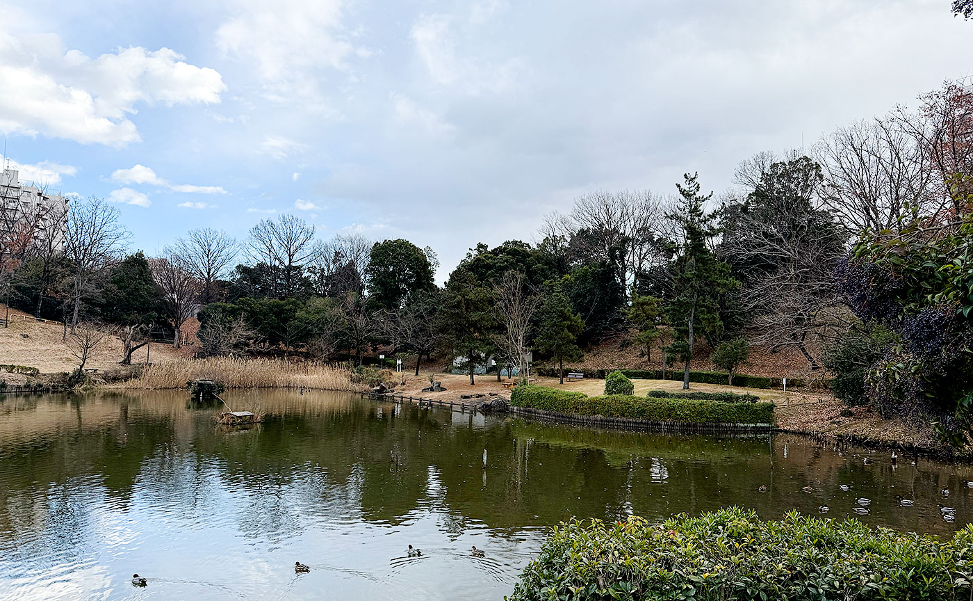 豊ヶ丘南公園