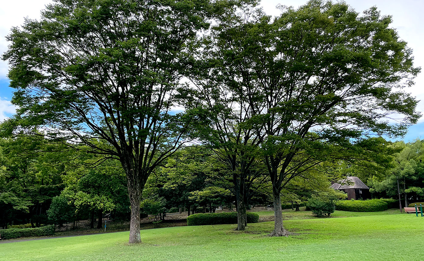 貝取北公園