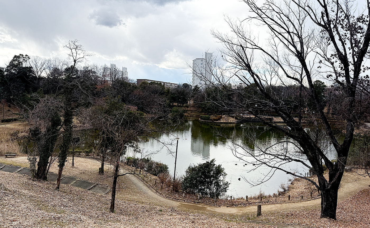 豊ヶ丘南公園