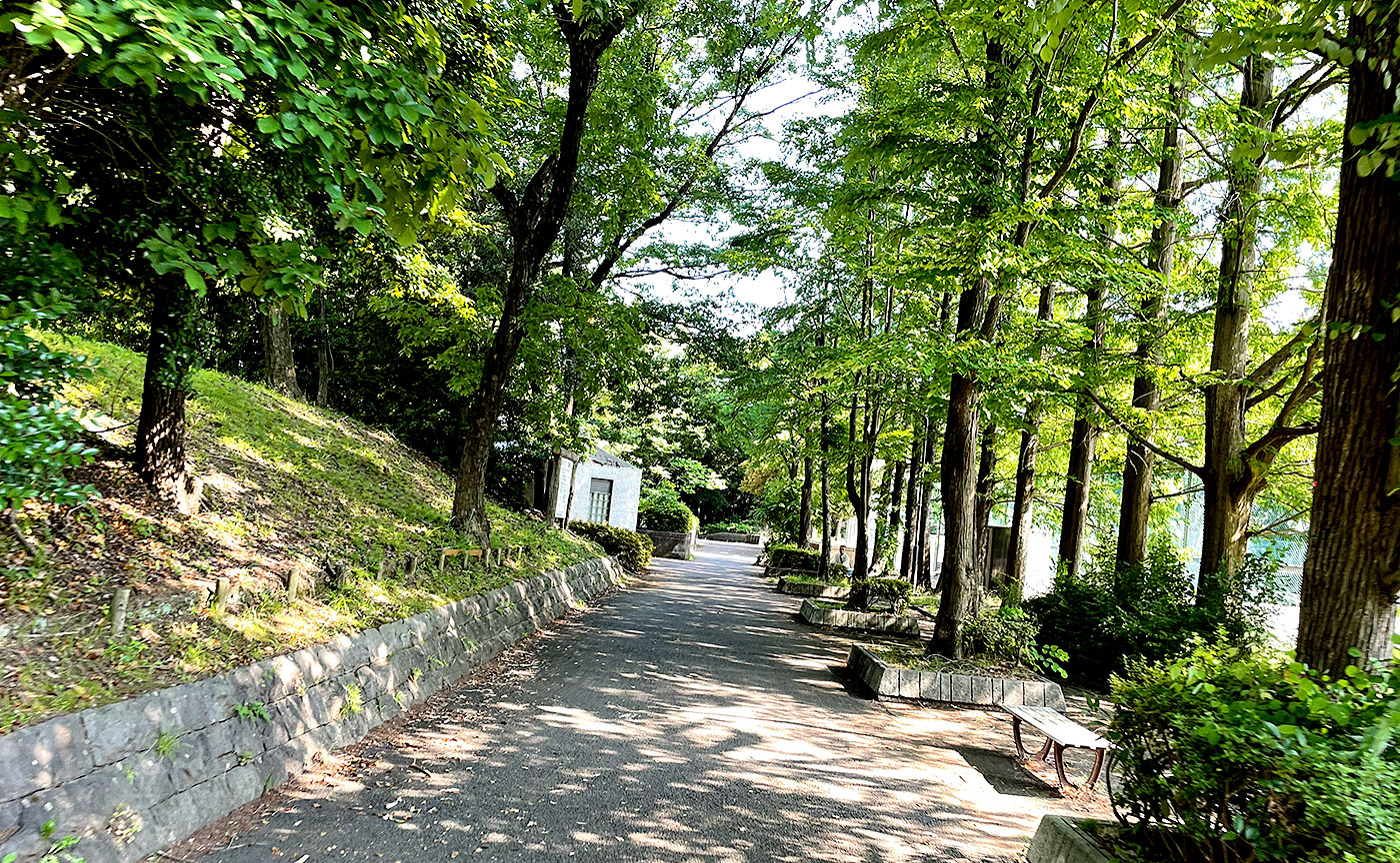 貝取南公園