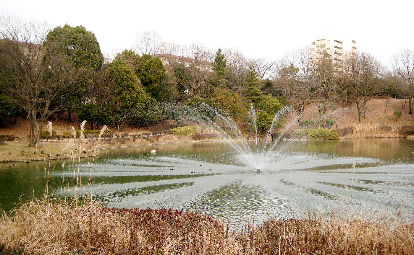 豊ヶ丘南公園