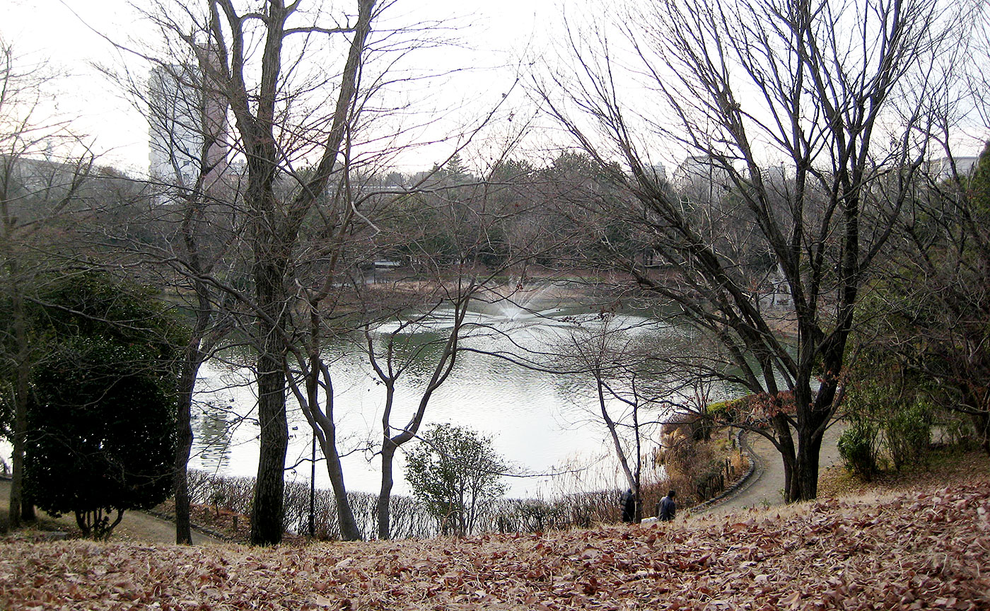 豊ヶ丘南公園