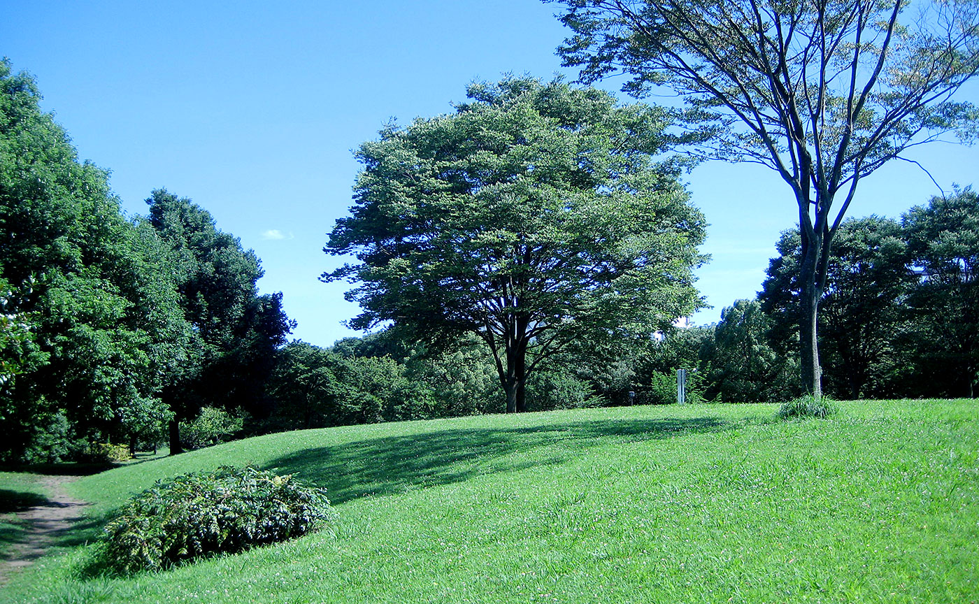 貝取北公園