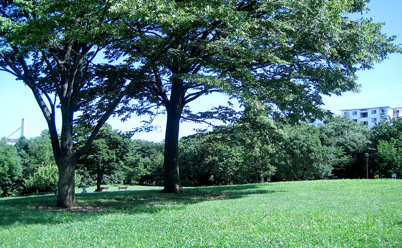 貝取北公園