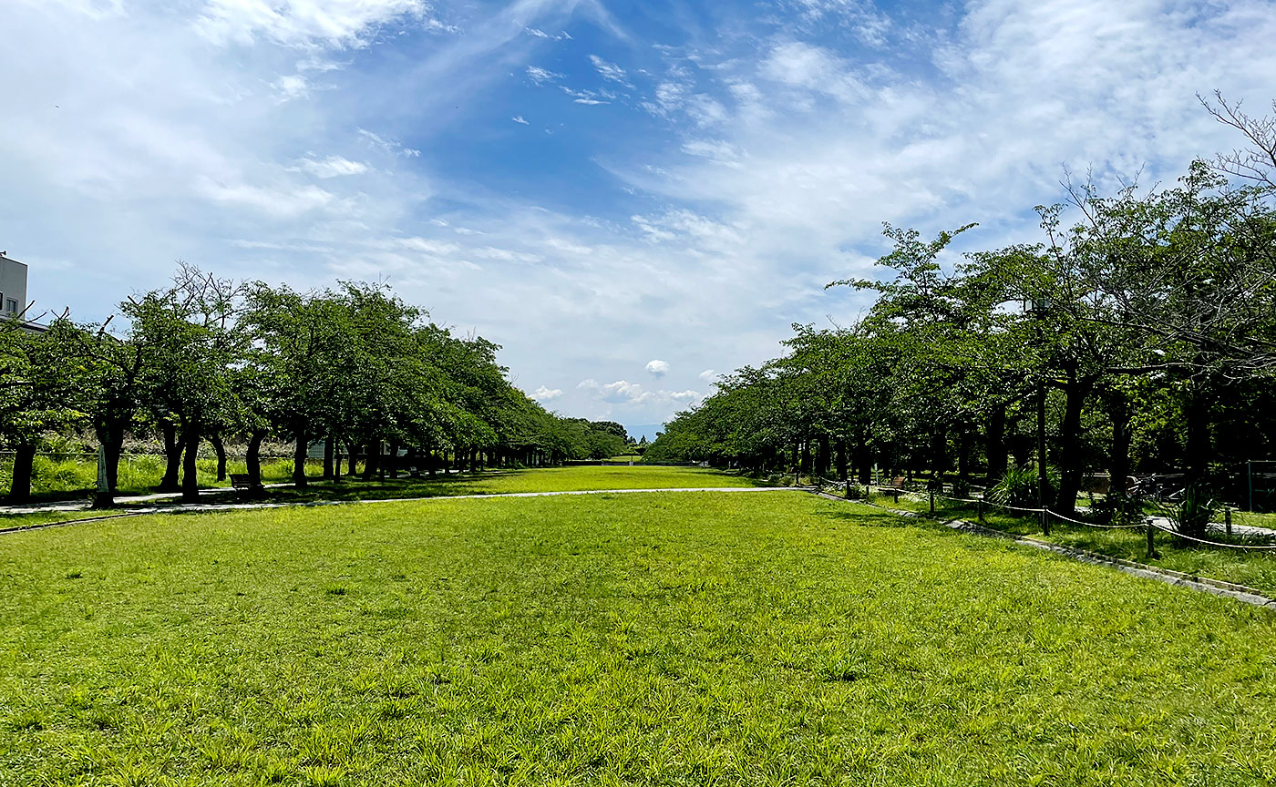 宝野公園