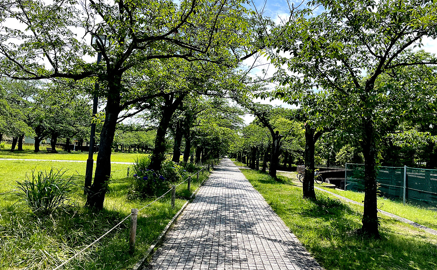 宝野公園