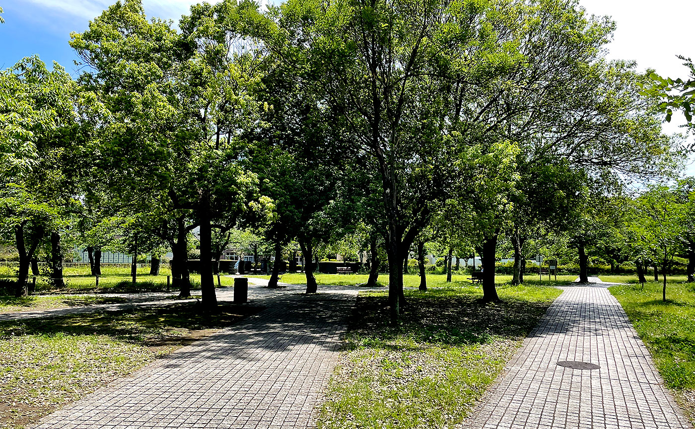 宝野公園