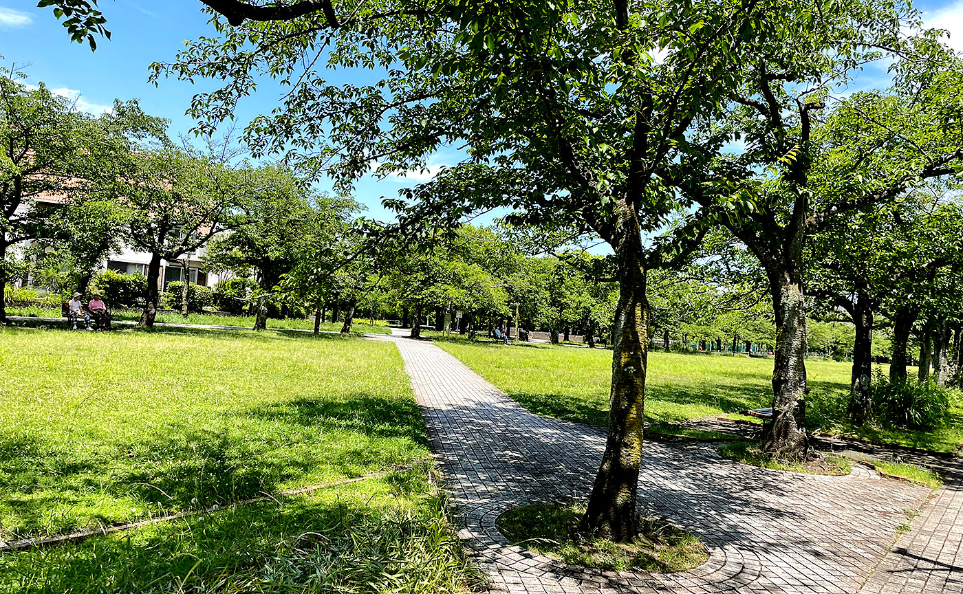 宝野公園