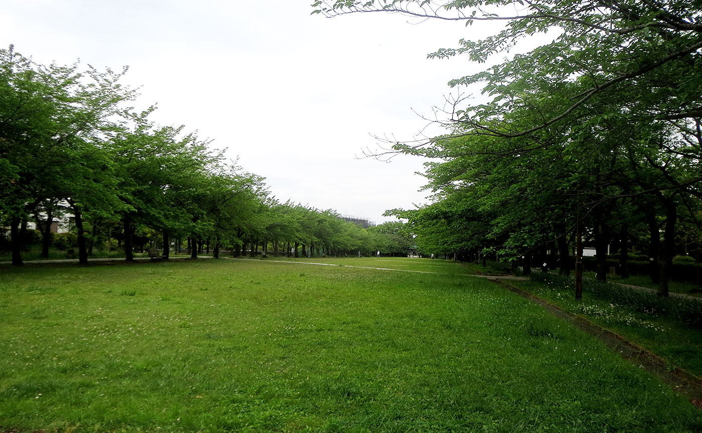 宝野公園