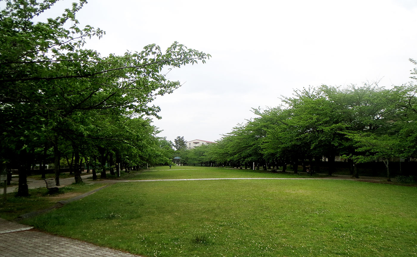 宝野公園