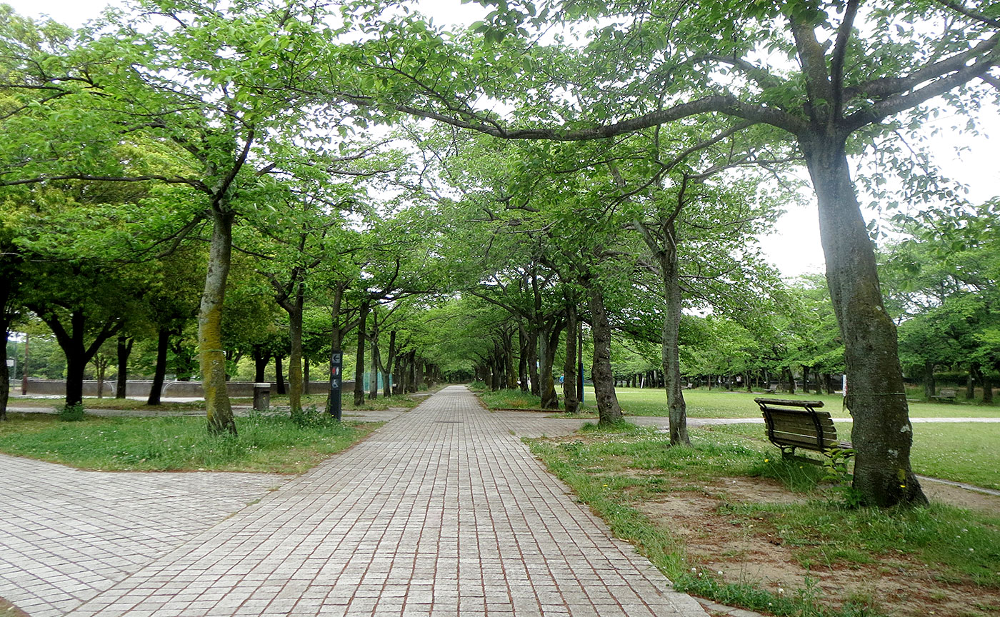 宝野公園