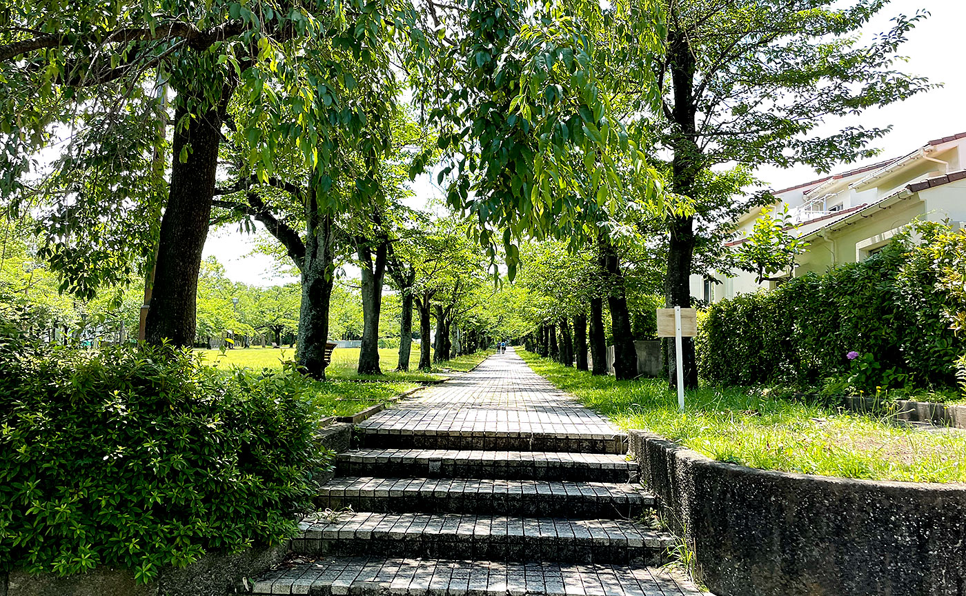 奈良原公園