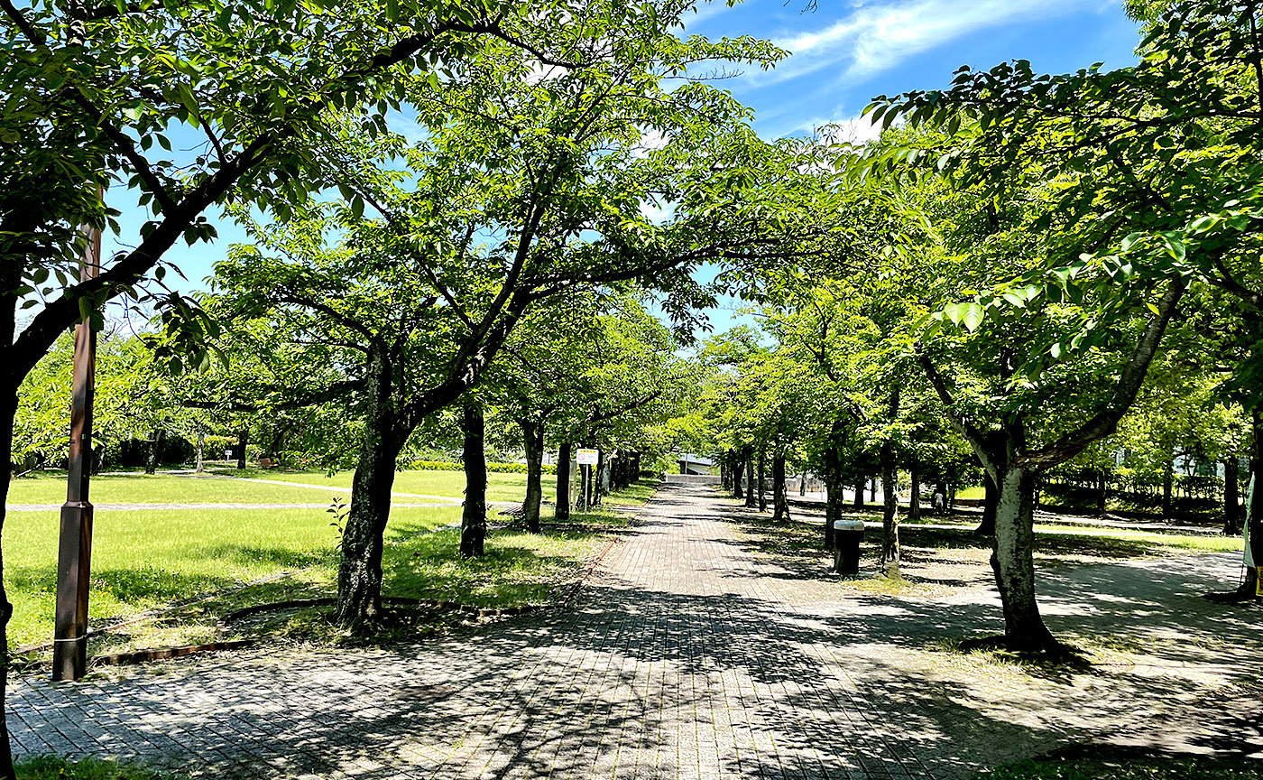 奈良原公園