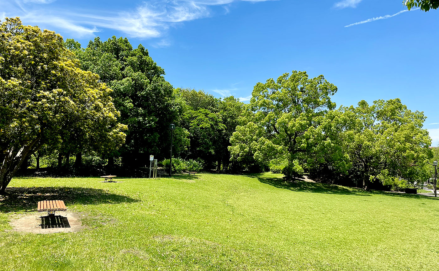 奈良原公園