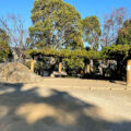 公園探訪