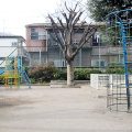 公園探訪