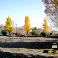 公園探訪