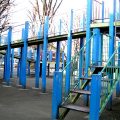 公園探訪