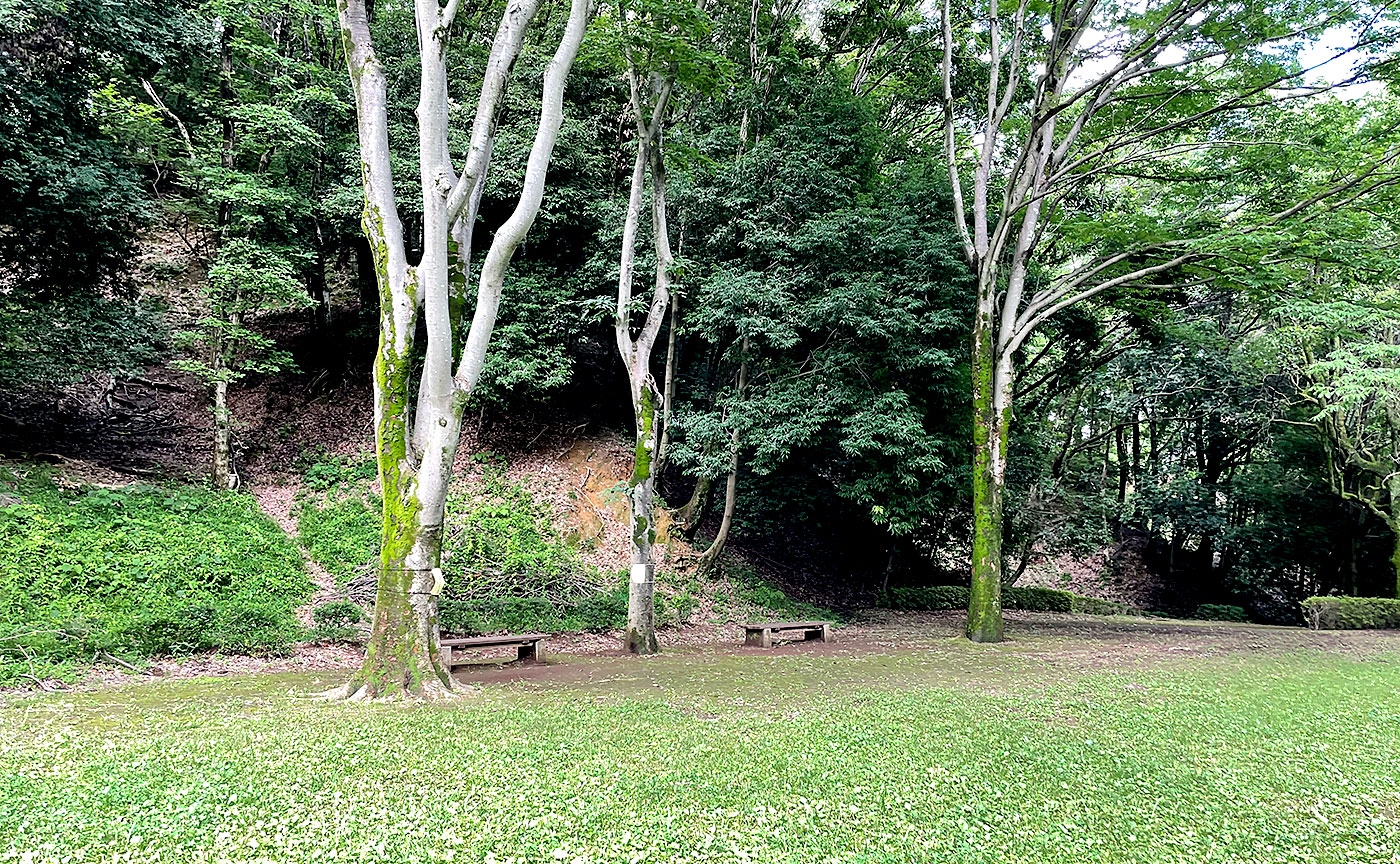 稲城中央公園