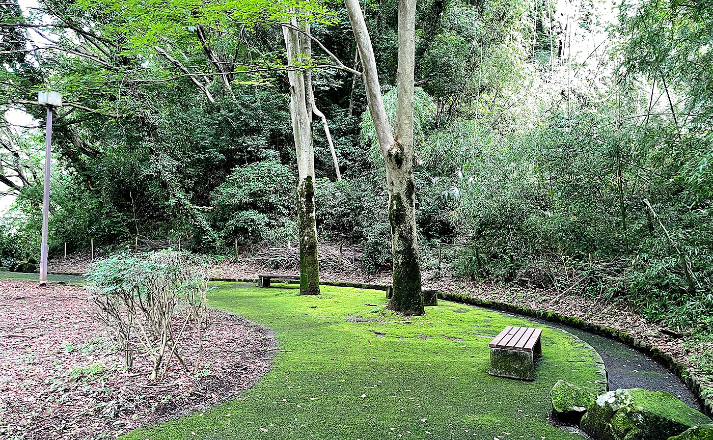 稲城中央公園