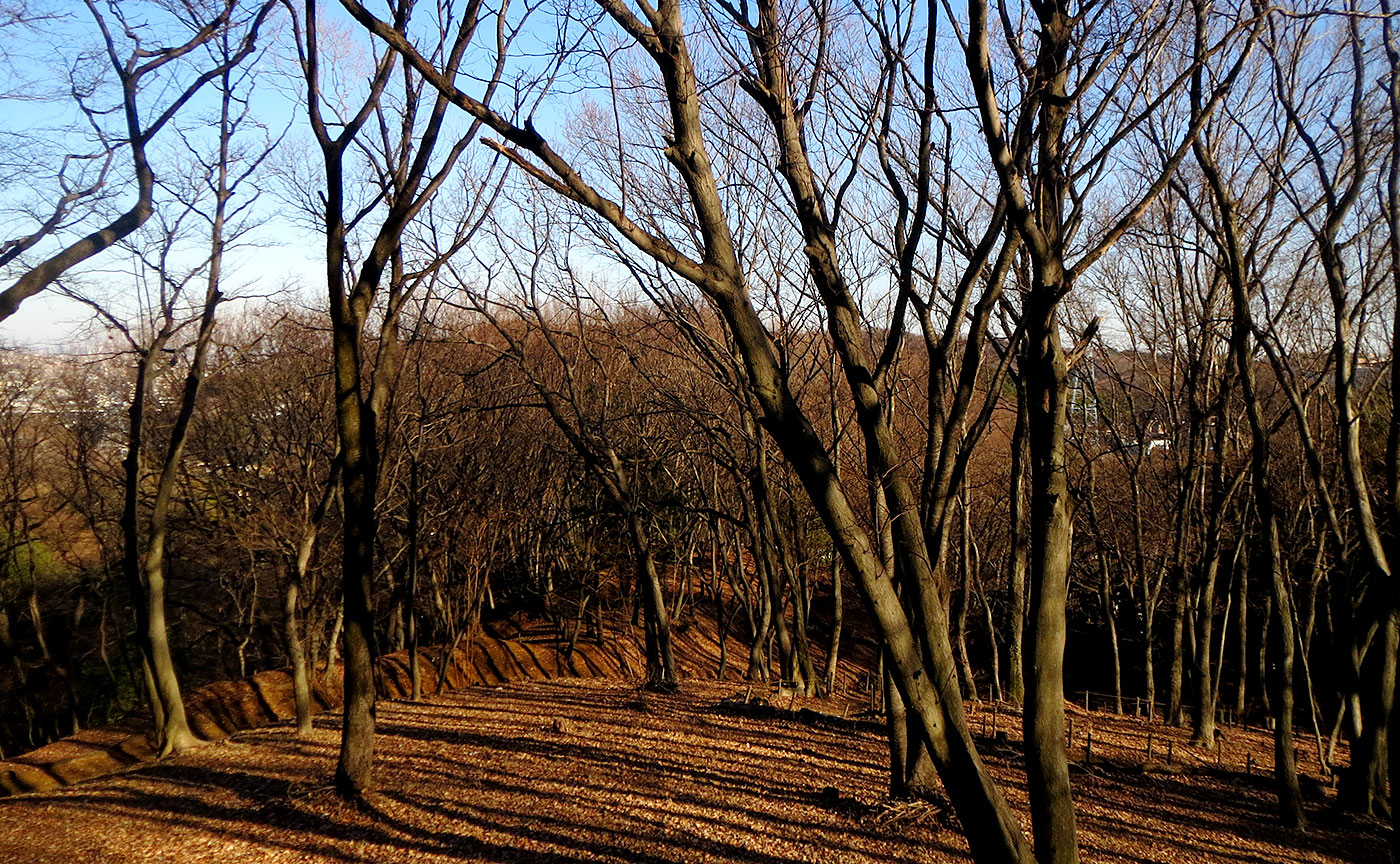 稲城中央公園