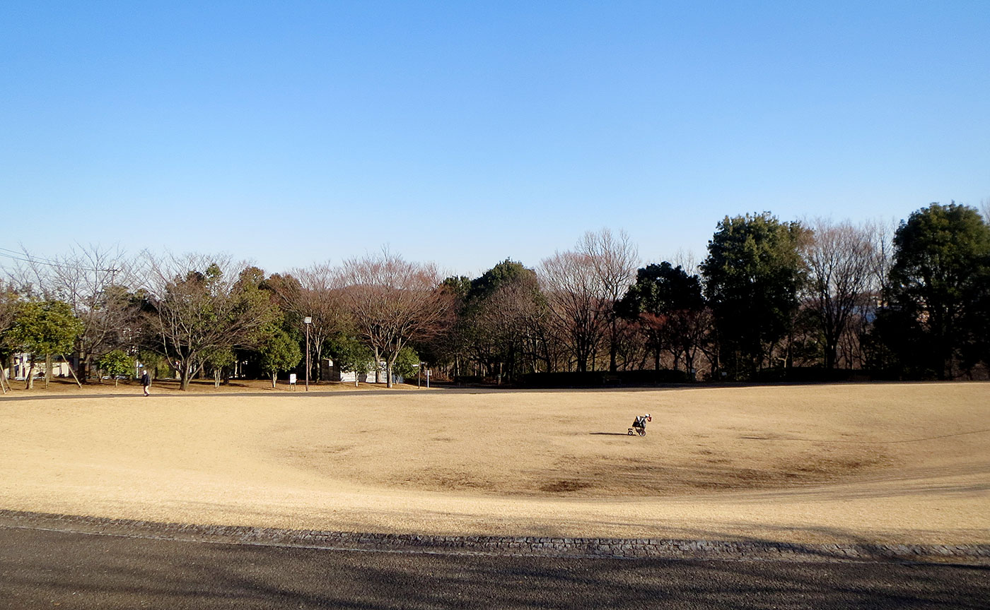 稲城中央公園