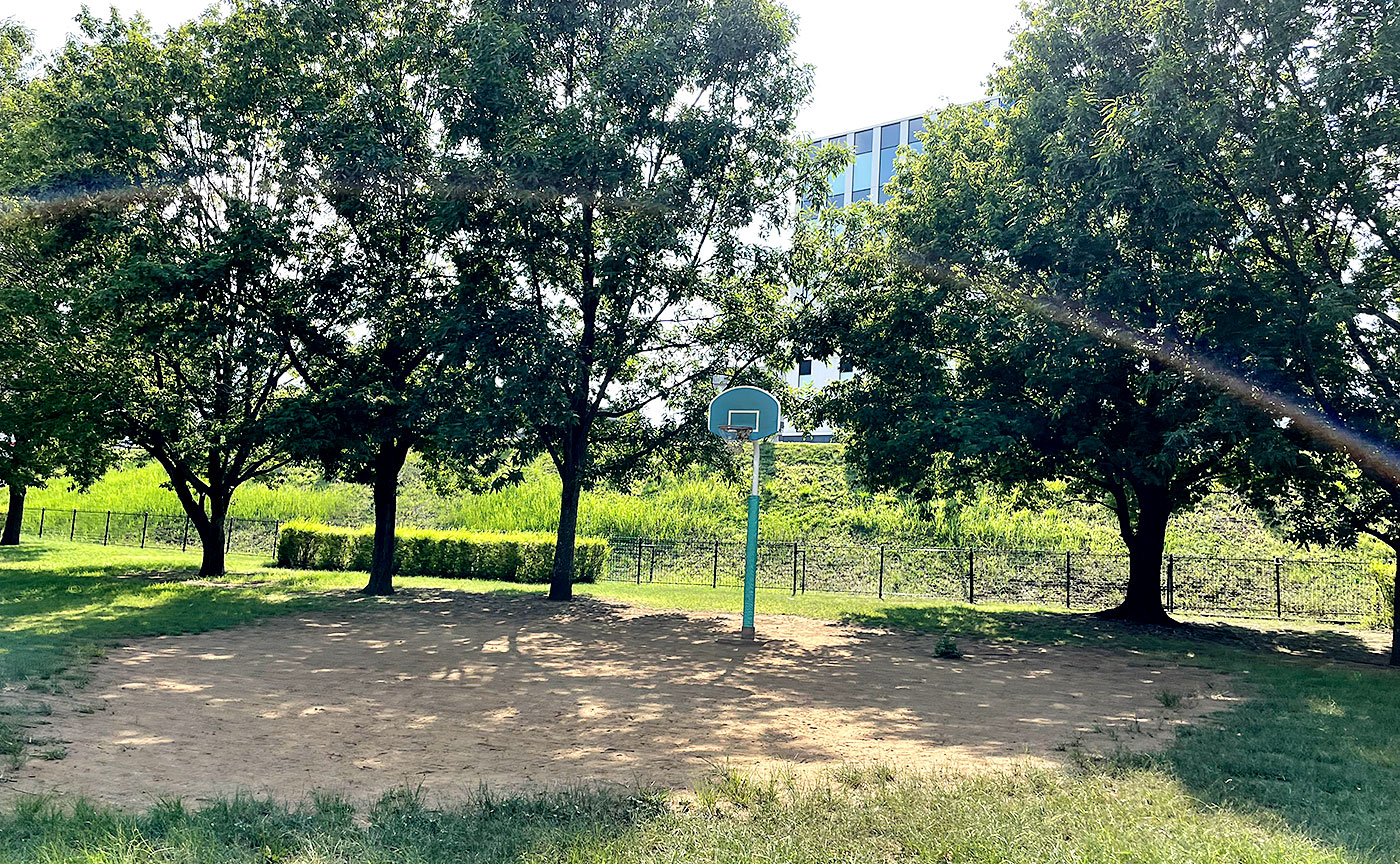 若葉台公園