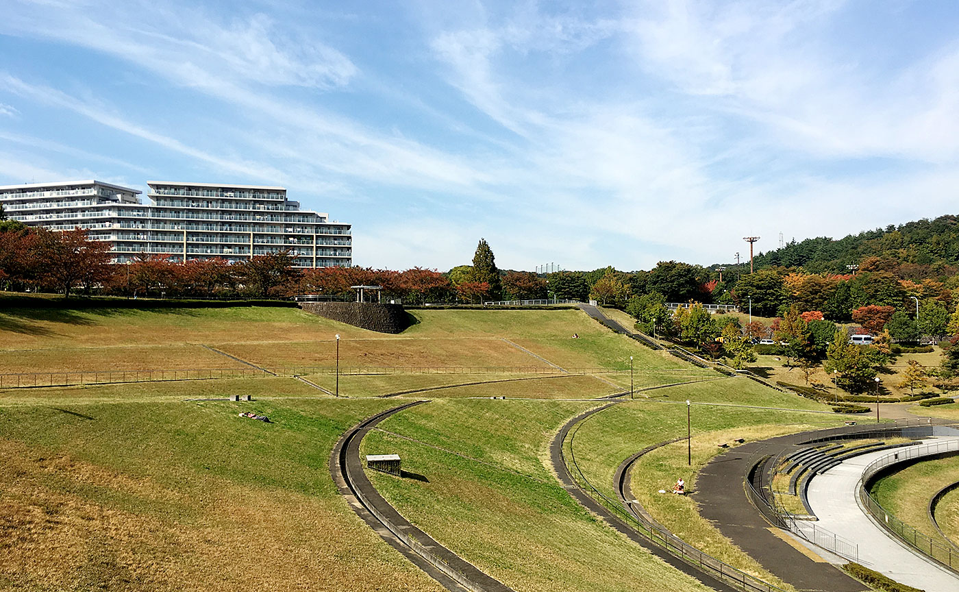 若葉台公園