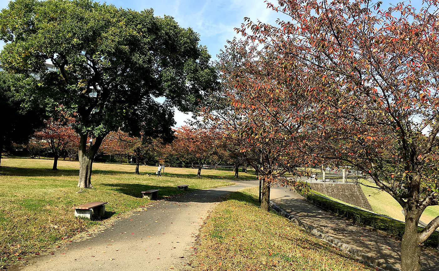 若葉台公園