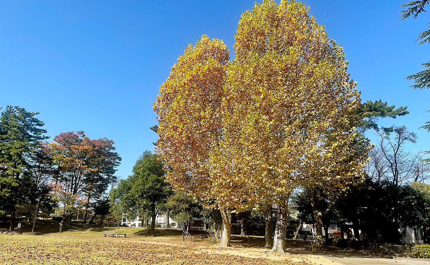 平尾近隣公園