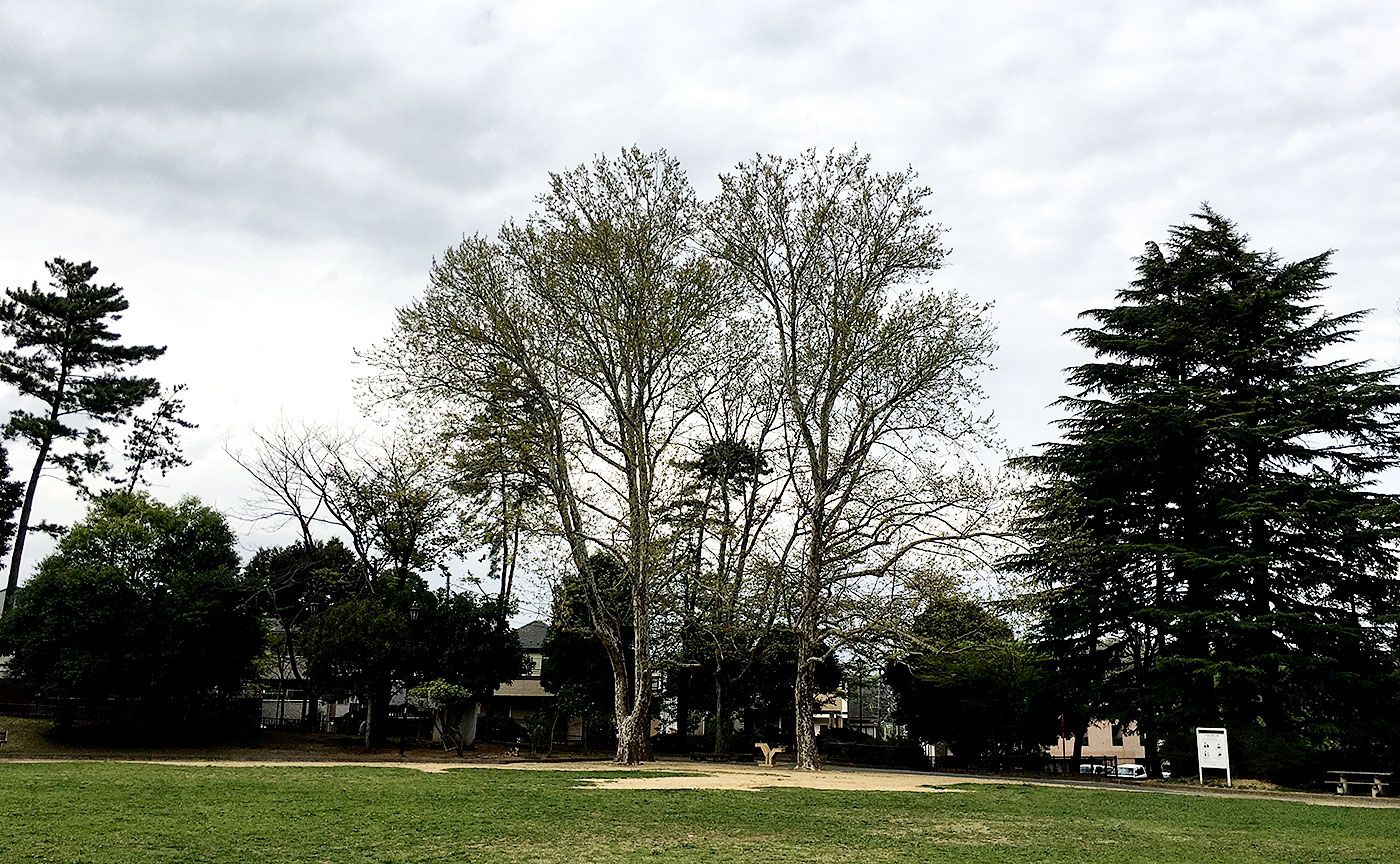 平尾近隣公園