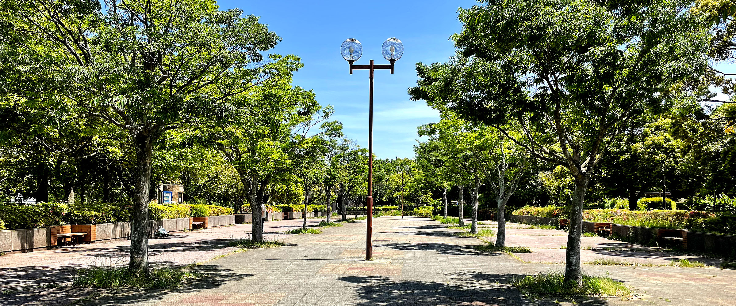 ユーカリが丘北公園