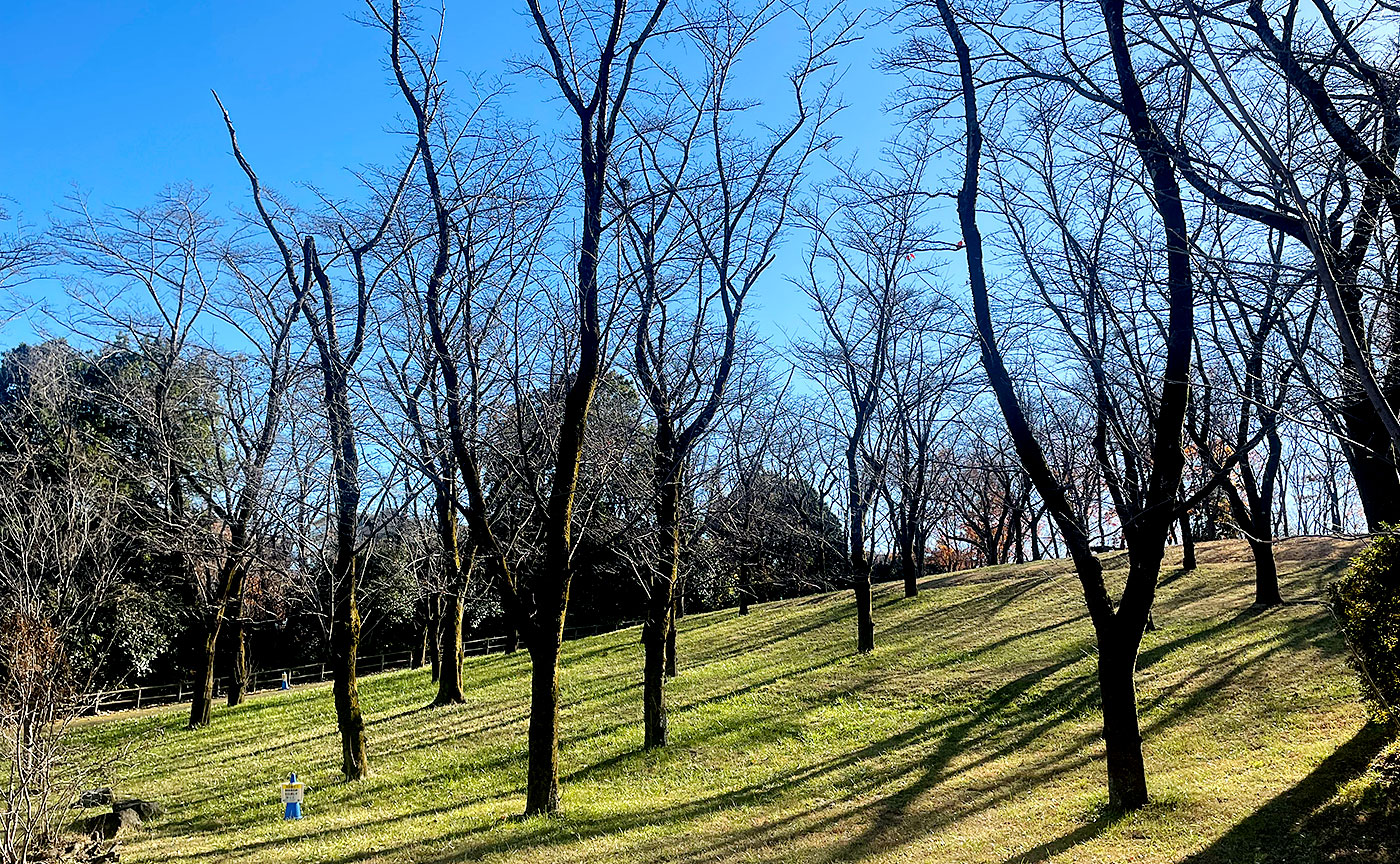 富士見台公園