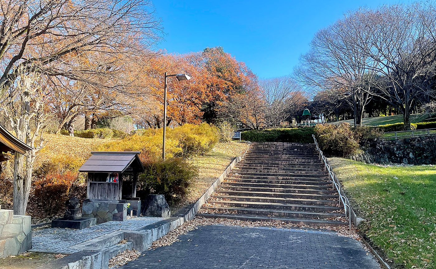 富士見台公園