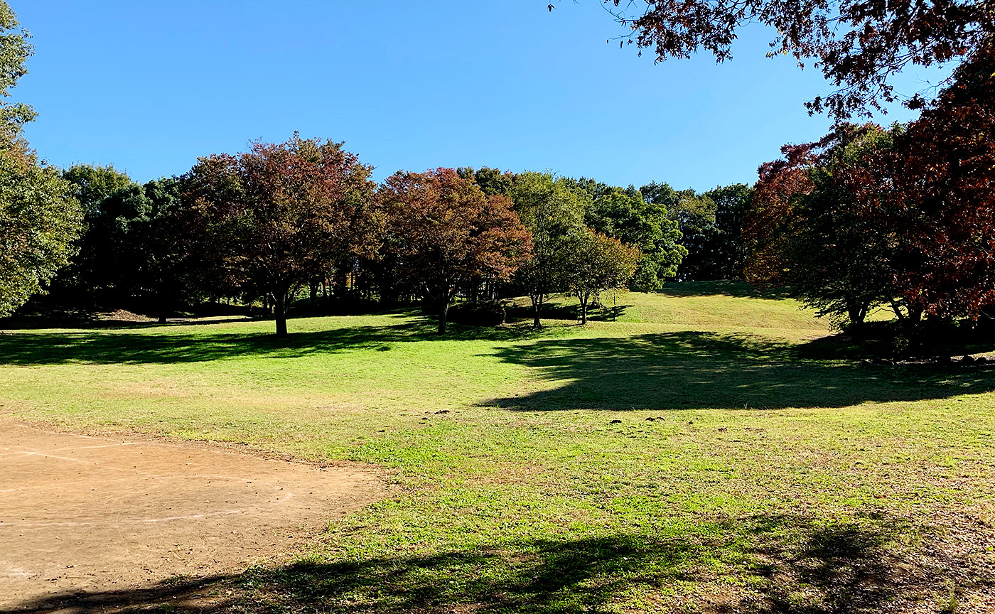 富士見台公園