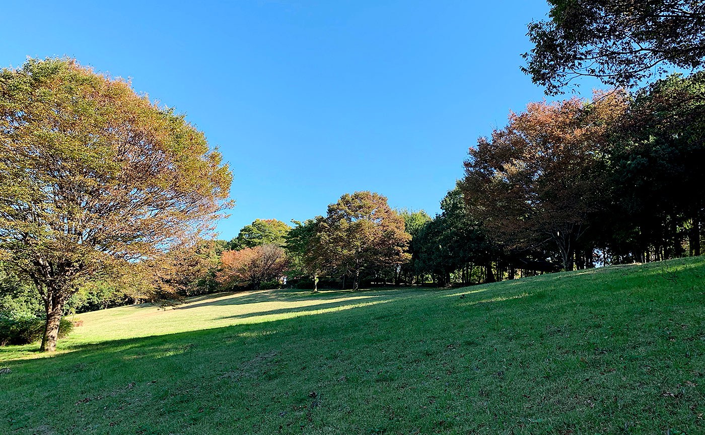 富士見台公園