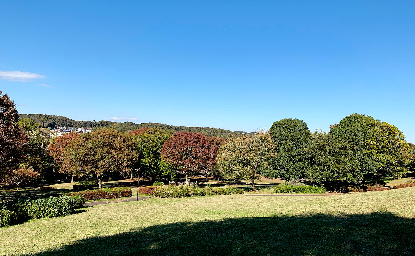 富士見台公園