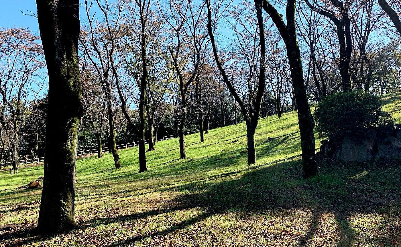 富士見台公園