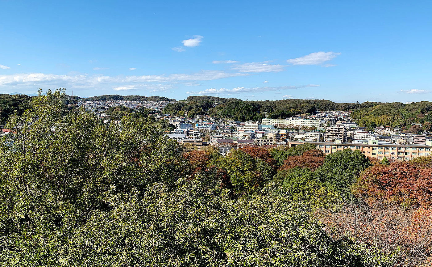 富士見台公園