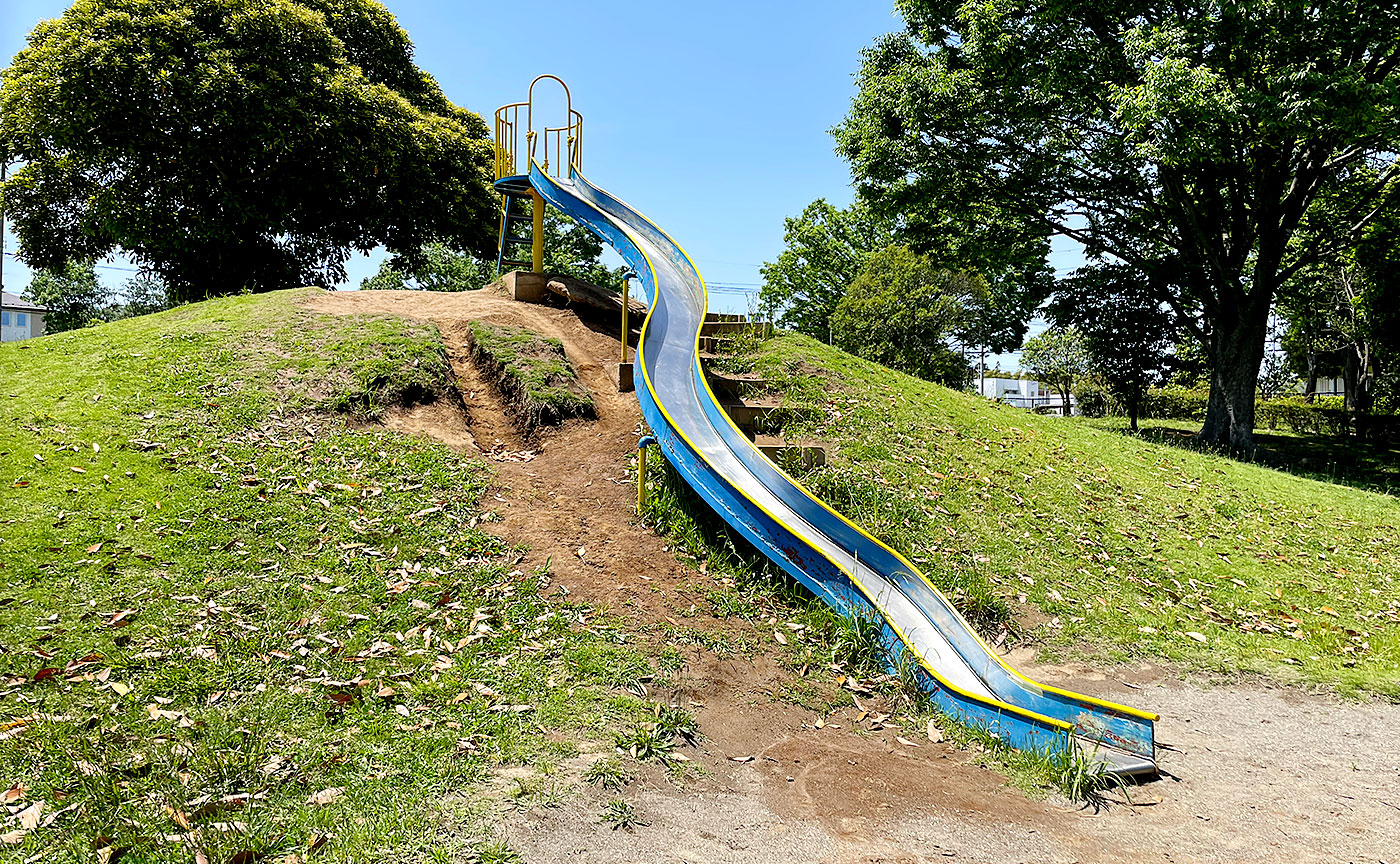 井野西谷津公園