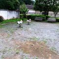 公園探訪
