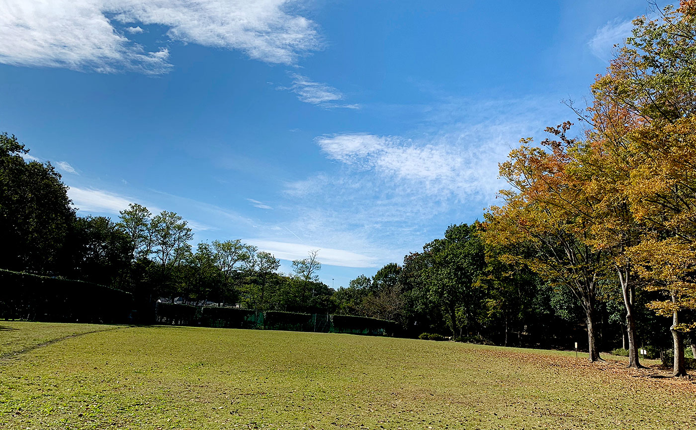 山崎自然公園