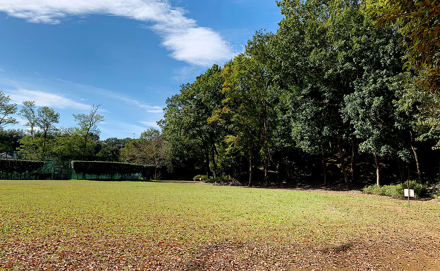 山崎自然公園